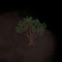 14 | The Pecan Grove