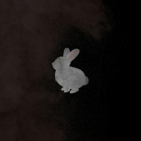 2 | White Rabbits