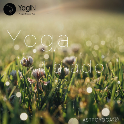 Yogin App - Yoga Online Interativo