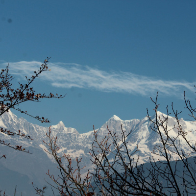 Yogin App - Yoga Online Interativo