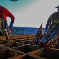 Episode 136: Climate Change, Border Dispute Lead To Lobster War Bringing Broadband To Urban, Rural Users