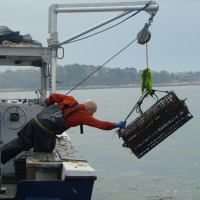 Episode 150: Restorative Ocean Farming Logging By Hand
