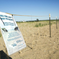 Episode 112: Connecticut River Dams Provide Power, Possibilities Rising Seas Threaten Shoreline