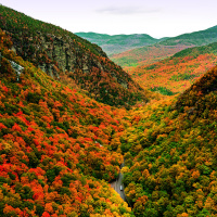 NEXT Episode 167: A Nephew’s Ammo Request Pushes Aunt To Raise Red Flag Fall And New England Forests