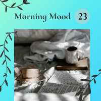 Dj Sandr  Dj Oleg Skipper - Morning Mood 23