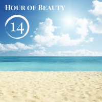 Dj Sandr  Dj Oleg Skipper - Hour of Beauty 14