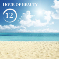 Dj Sandr  Dj Oleg Skipper - Hour of Beauty 12