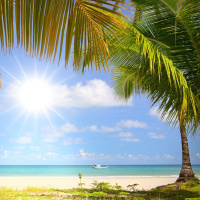 Dj Sandr  Dj Oleg Skipper - Latin Tan 7