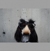 18: The Chris Daniel Show : One Line Wednesday