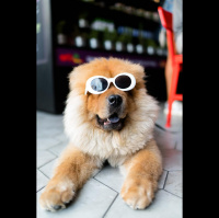 14: The Chris Daniel Show : One Line Wednesday