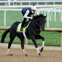 The atmosphere is already wild at Churchill Downs before tomorrows Kentucky Derby