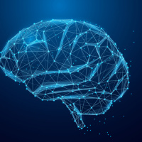 Why cant Rena remember anything?