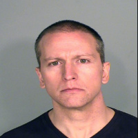 What does a plea deal in his federal civil rights case mean for Derek Chauvin?