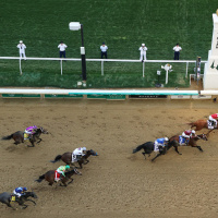 Which horses deserve your betting dollars at the Belmont?