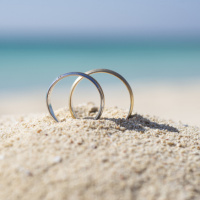 Tom Hauser hosting/Wedding weekend/Jan 6 hearing