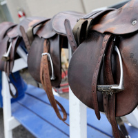 Serving veterans with PTSD/Love for mom/Kentucky Derby