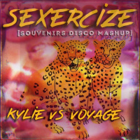 Sexercize (Nandos Disco Souvenir Mashed Remix)