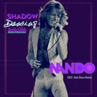 Shadow Dancing (Nandos 2022 Italo Disco Mix)