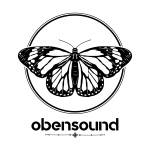 Stefano Festa Podcast