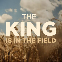 The King is in the Field - Part 6