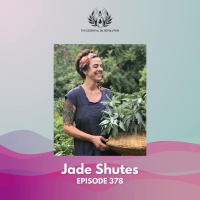 378: The Evolution of Aromatherapy: From Massage to Self Care