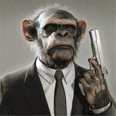 Delinquent Primates Radio