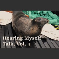 Hearing Myself Talk, Vol. 3