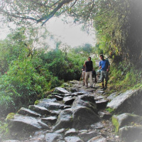 Extraordinary Stories: Dead Womans Pass and the HM Scarf Splint