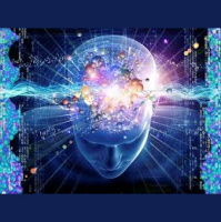 Hafıza Şampiyonları