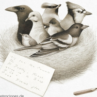 Entrevista a Ester García, ilustradora de «El secreto de la oropéndola» de Emily Dickinson (NÓRDICA LIBROS) 21-9-2024