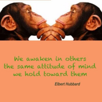 SONGS WITH AN ATTITUDE..........by Aydin Aktay