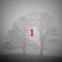 HAZY..........by Aydin Aktay