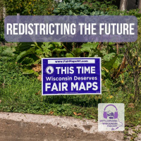 Redistricting the future