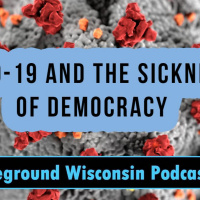 COVID-19 and the Sickness of Democracy