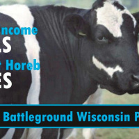 State Incomes Fall  Mount Horeb Rises