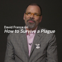 DAVID FRANCE on How to Survive a Plague