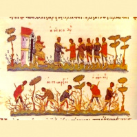 Predikan: Guds sanna vingård