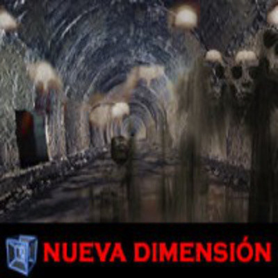 Nueva Dimensión Radio