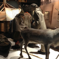 Vad var det lapska kriget egentligen? / Mikä oli lapin sota oikeasthaan? 