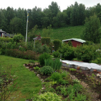 Kolonilott gör odling möjlig i stan / Kolonilotti tekkee maholiseksi kylvää kaupungissa