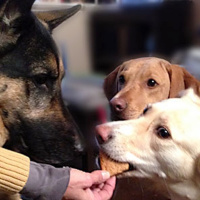 20121207scratchbaking_.mp3