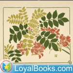 Coleção De Poemas Em Português By Various