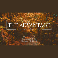 The Playbook - Audio