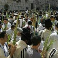 Sucot - No voy a dejarte ir 22