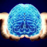 Dr. Israel Castillo - ¿Qué pasa en el cerebro cuando nos exponemos a trauma y estrés?