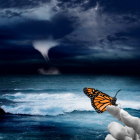 Koraj - Efecto Mariposa