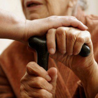 Kedoshim - Valora la Experiencia