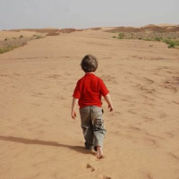 Masé - La Vida es una Travesía