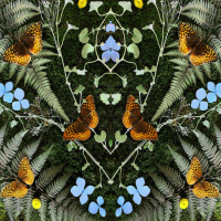 Podcast: Jean-Michel Blais și Naxatras