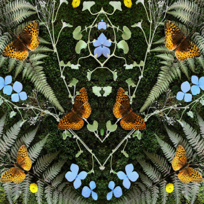 Rock Din Capul Lui Mooc